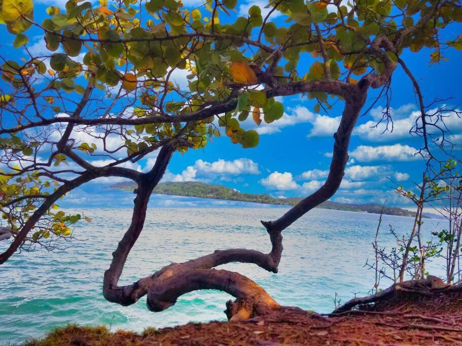Poetry Garden Bocas Town Colon Island Villa Eksteriør billede
